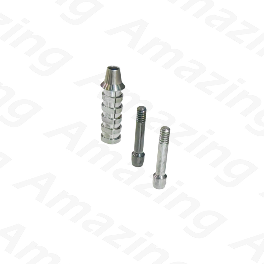 5 Pcs Non-Hex OSS HIO Dental Titanium Screws Temporary Abutment TS Regular Mini