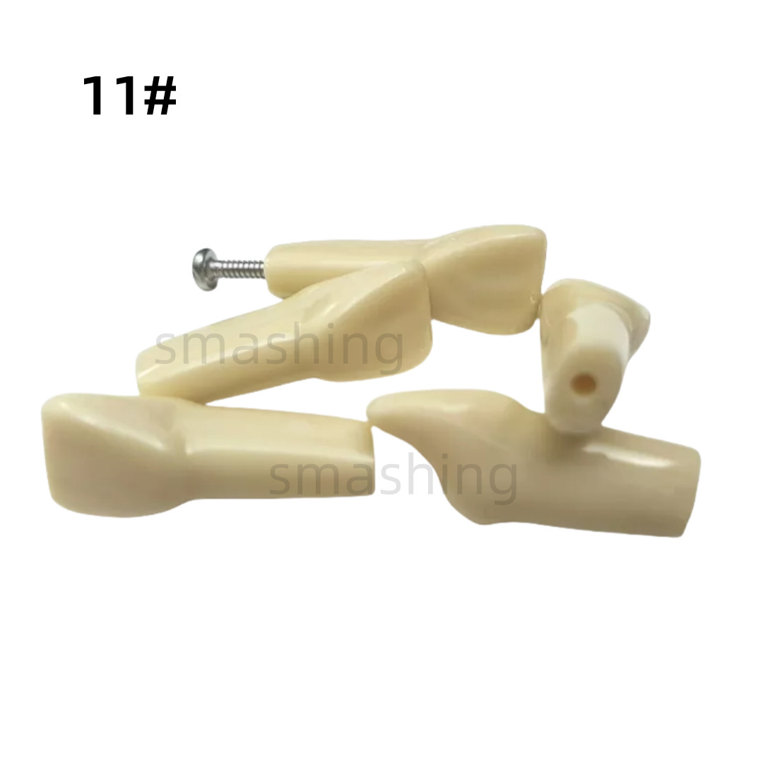 Dental Frasaco AG3 Type Model Typodont Replacement 32PC Removable Teeth AG-3