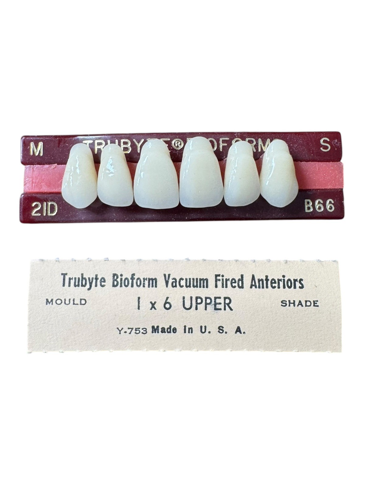 Trubyte Bioform Vacuum Fired Porcelain Upper Ant. Teeth M 21D S B66 (1×6)