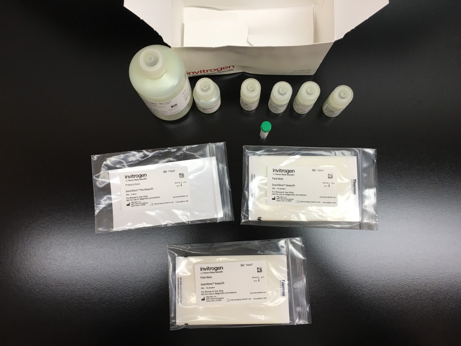Invitrogen Cat No QP1013 QuantiGene Plex Assay Kit
