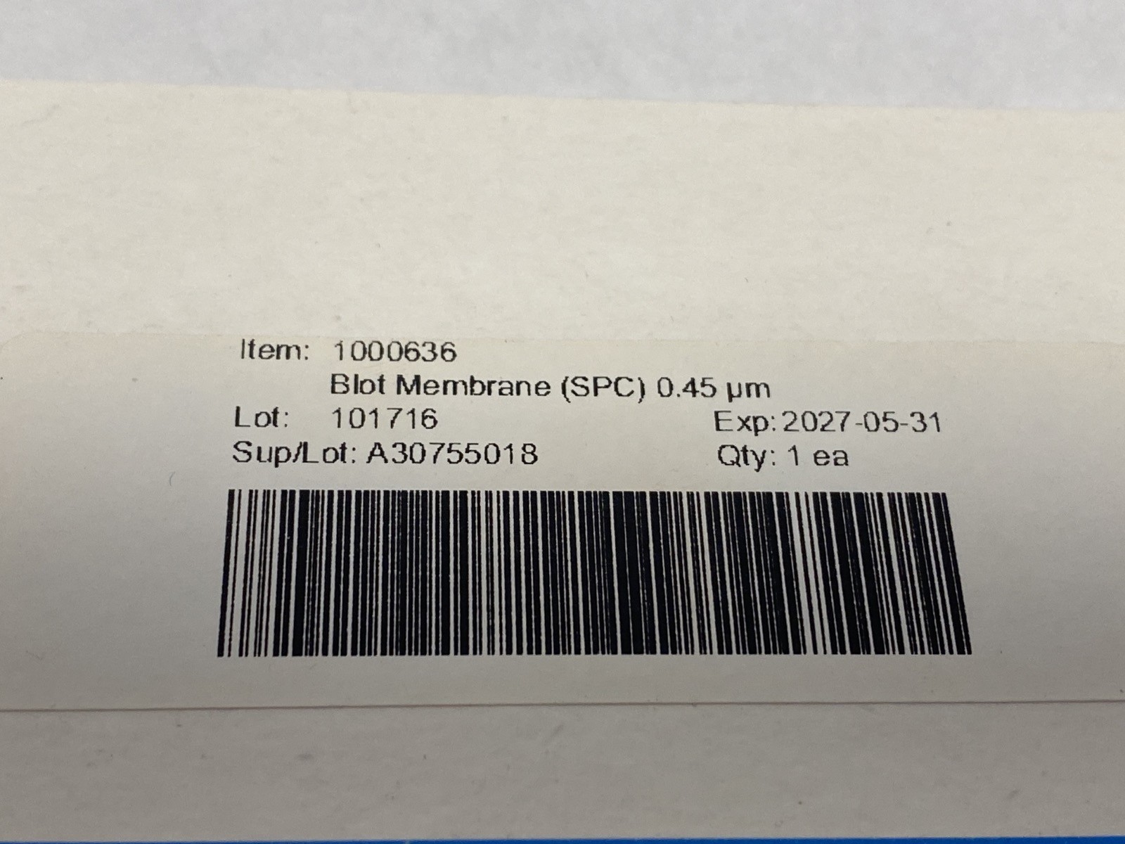 (10) WHATMAN Nytran SPC 0.45um Nylon Blotting Transfer Membrane Sheets 10416230