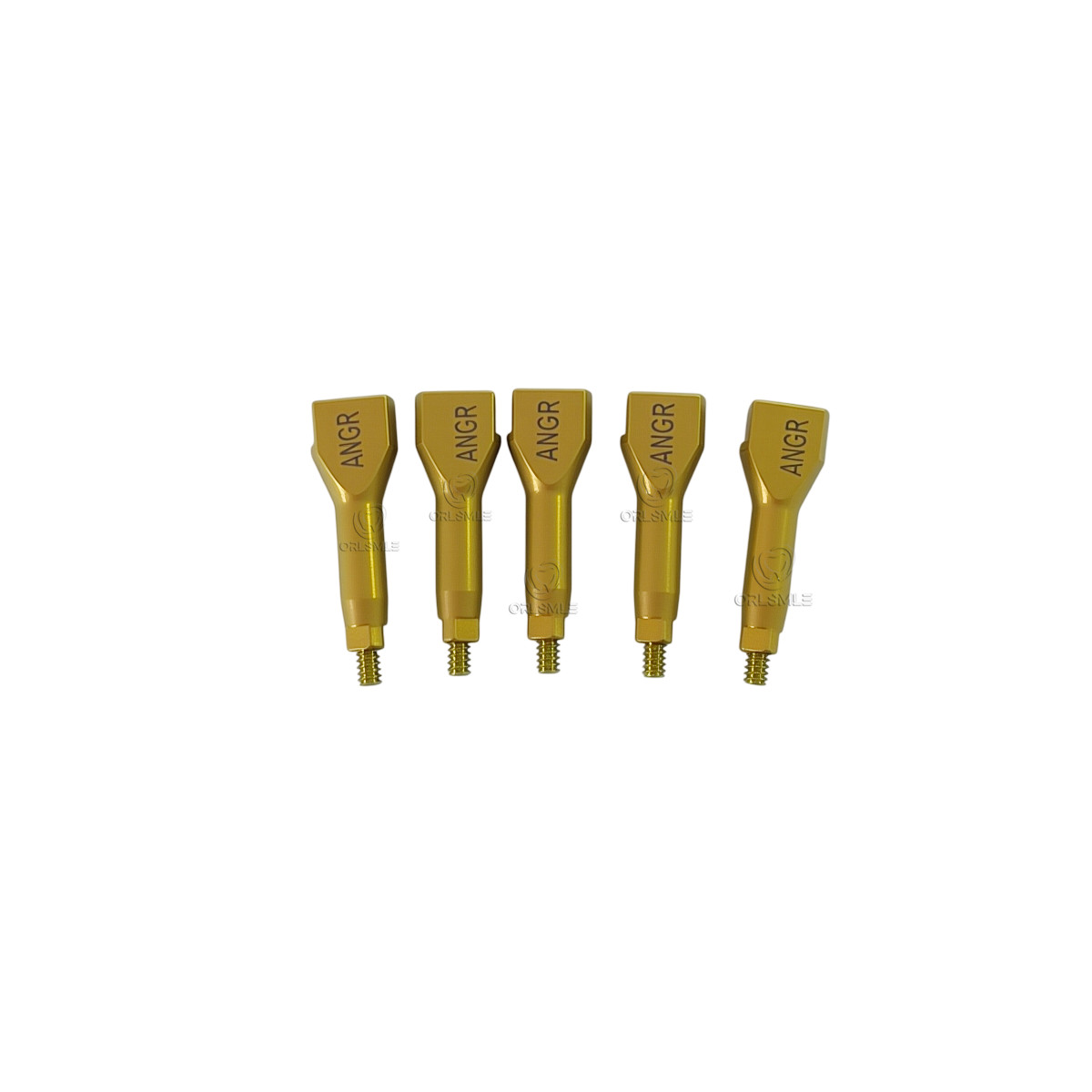 4/6/10/20 pcs Dental Scan Body CAD/CAM compatible with Anthogyr Regular