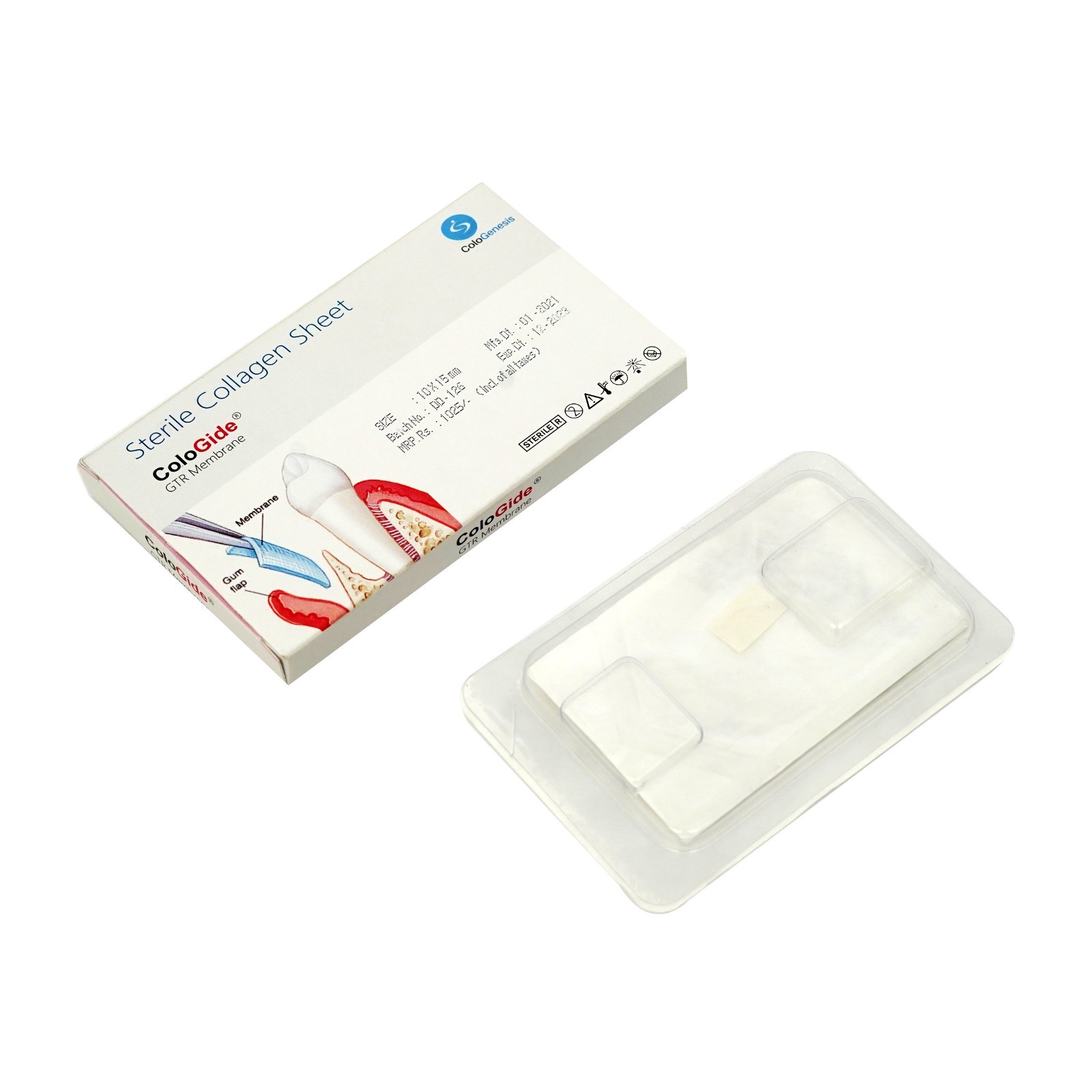 10 Pack New Colo Gide Sterile Collagen Sheet GTR Membrane 10 x 15mm -Free Ship