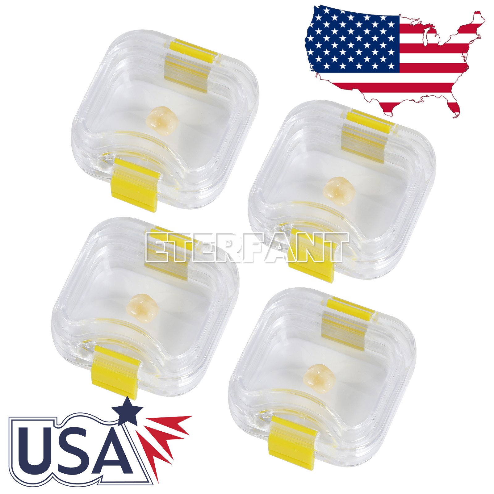 100pcs ETERFANT Dental Crown and Bridge Pillow Box with Latch Storage display