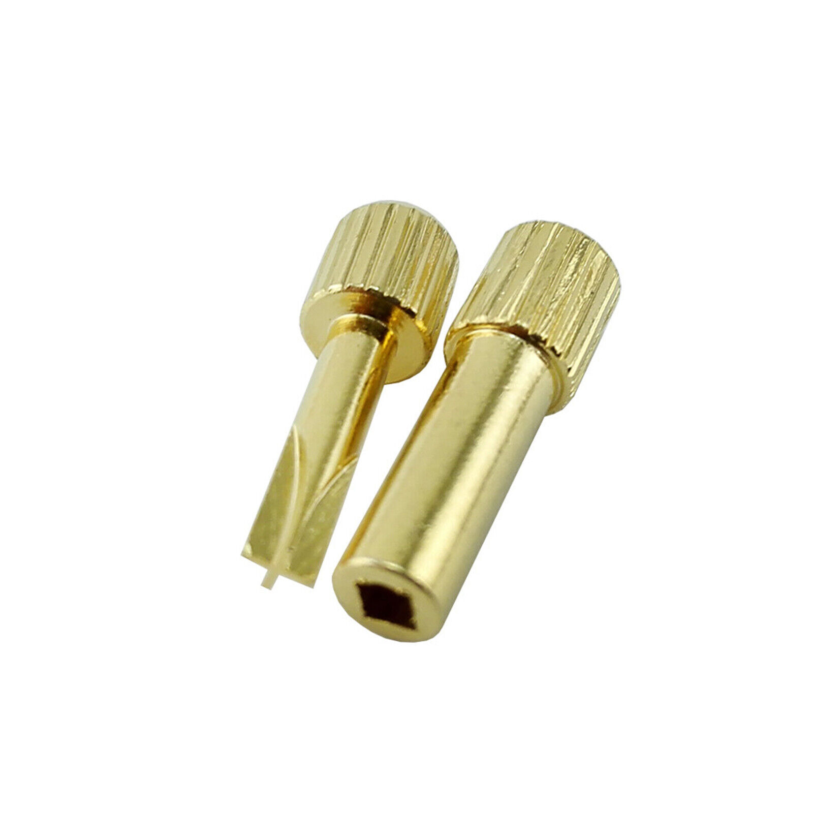 Dental Endodonthic Root Dentatus Gold Plated Screw Post Cross Hollow Key Driver