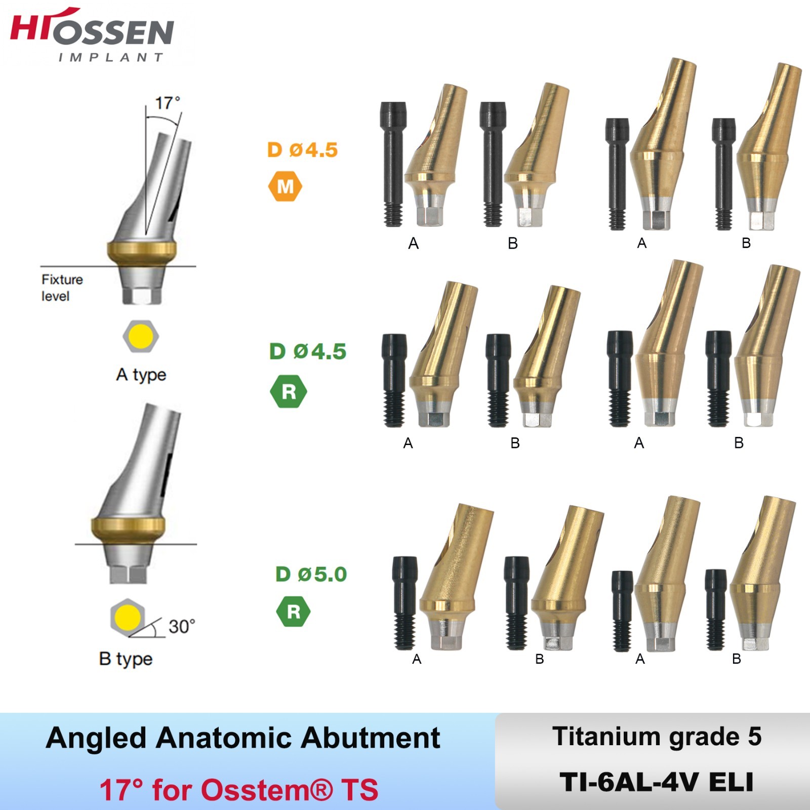 17° Angulated Angled Anatomic Abutment M/R Hex A/B Type Fit Hiossen Osstem TS