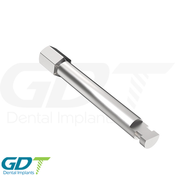 2 Hex Driver Motor Mount 2.42mm Internal Hex Dental Im plant For Dental Im plant