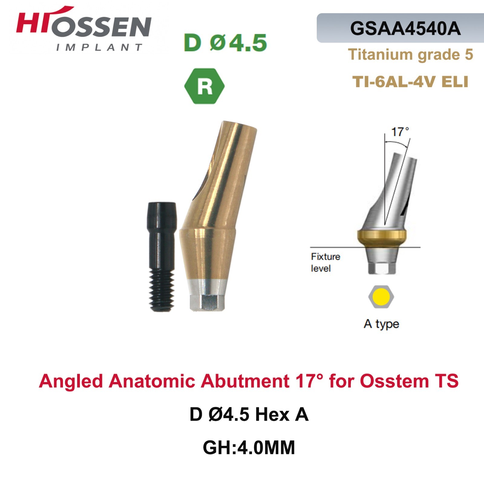 17° Angulated Angled Anatomic Abutment M/R Hex A/B Type Fit Hiossen Osstem TS