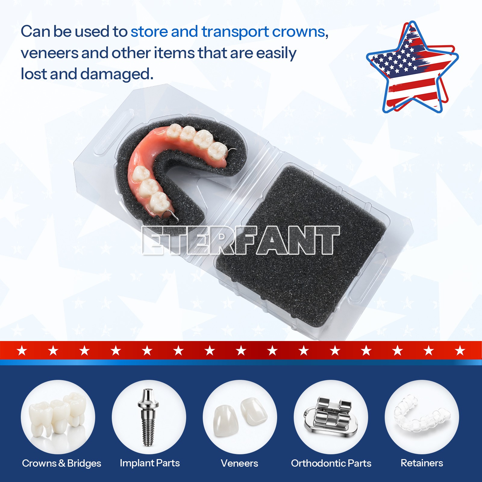 300pcs Model & Denture Box, Clear Plastic with Black Sponge, Orho Dental Lab