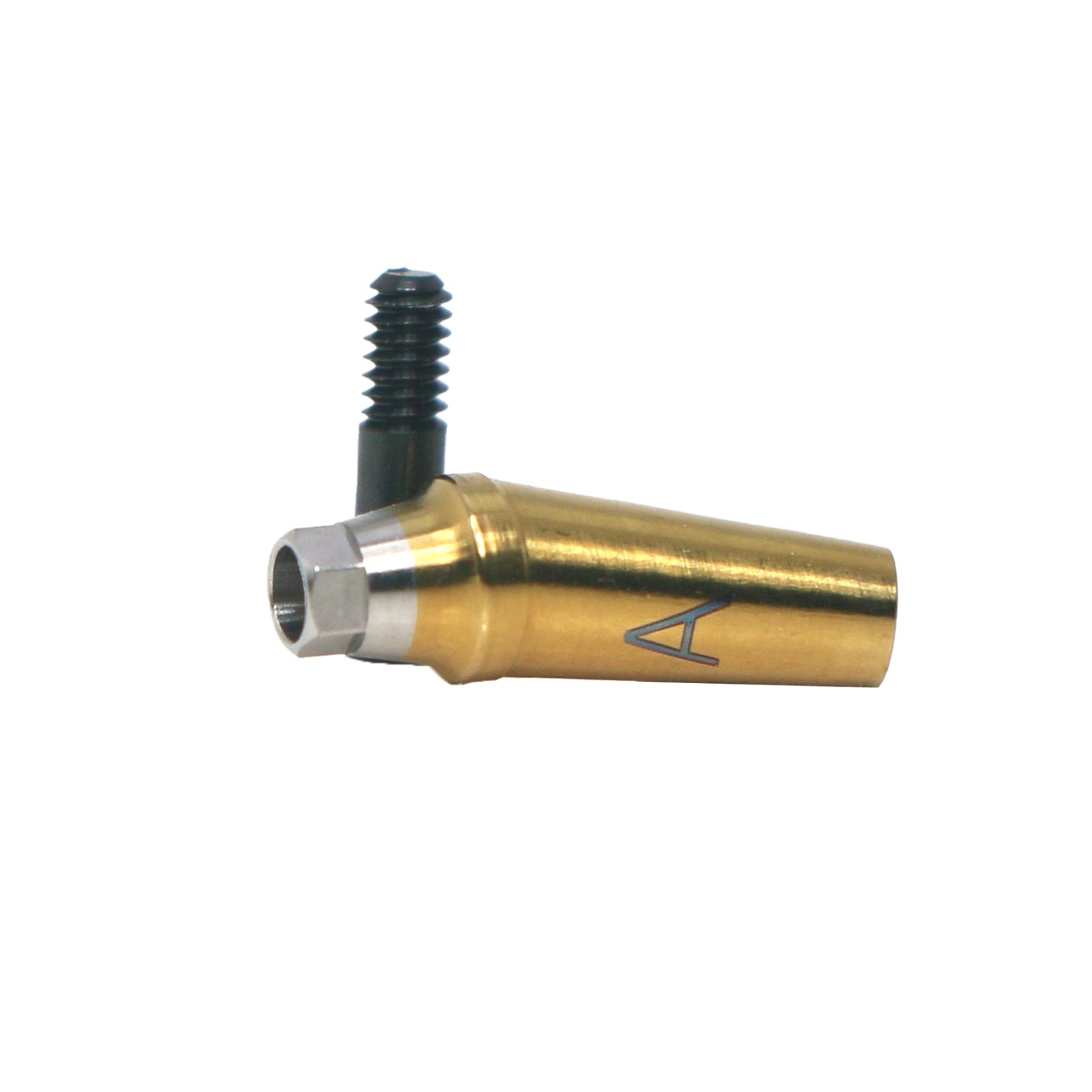 17° Angulated Angled Anatomic Abutment M/R Hex A/B Type Fit Hiossen Osstem TS