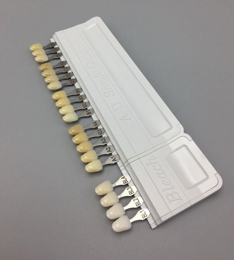 Dental Teeth Shade Guide Ivoclar 16 Colors A-D Four Bleached Tooth Model
