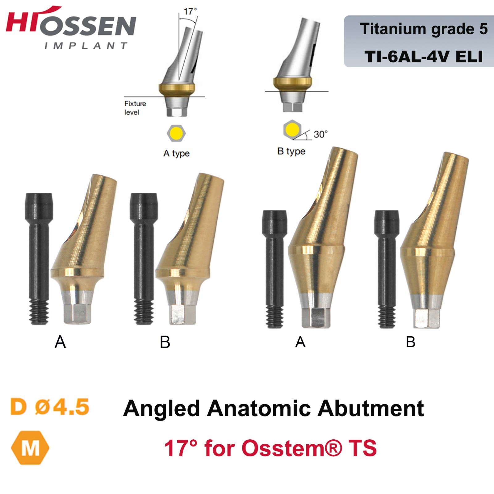 17° Angulated Angled Anatomic Abutment M/R Hex A/B Type Fit Hiossen Osstem TS