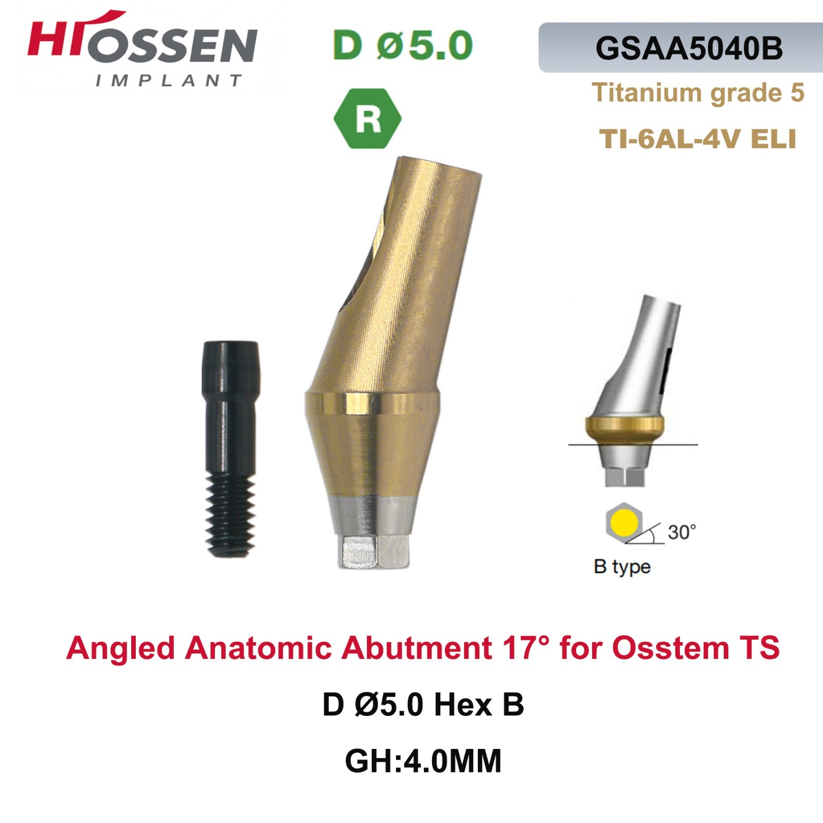 17° Angulated Angled Anatomic Abutment M/R Hex A/B Type Fit Hiossen Osstem TS