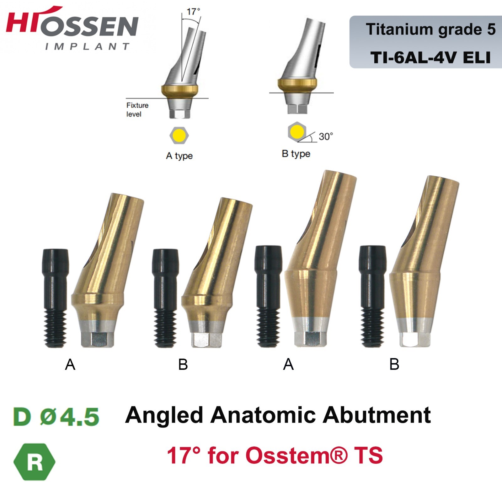 17° Angulated Angled Anatomic Abutment M/R Hex A/B Type Fit Hiossen Osstem TS
