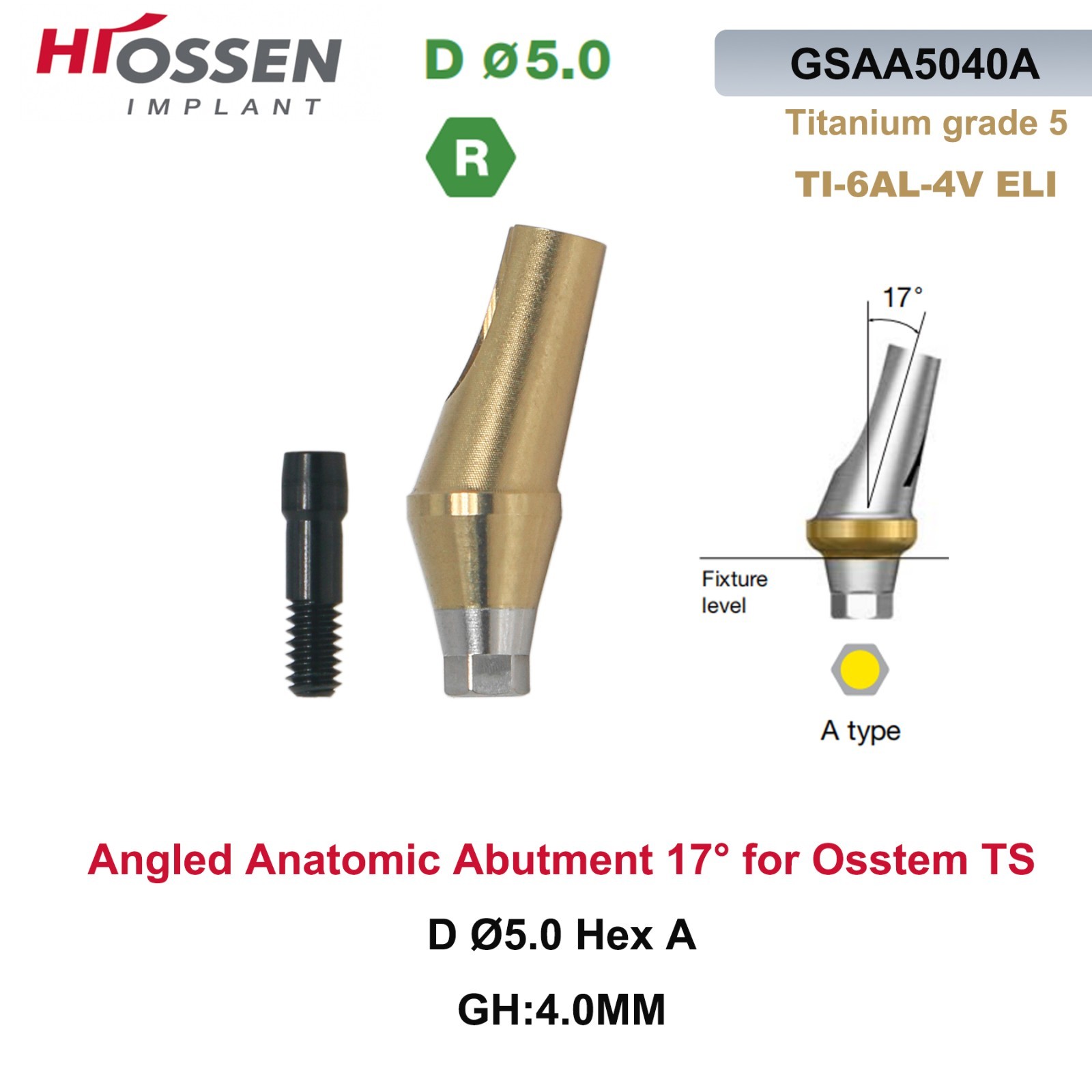 17° Angulated Angled Anatomic Abutment M/R Hex A/B Type Fit Hiossen Osstem TS