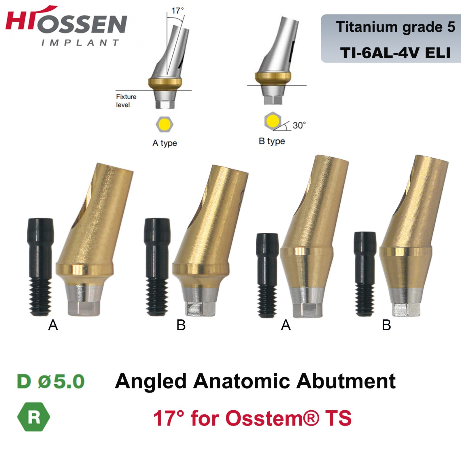 17° Angulated Angled Anatomic Abutment M/R Hex A/B Type Fit Hiossen Osstem TS