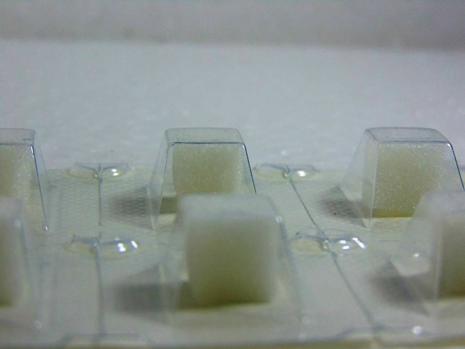 2X DENTAL HEMOSPONGE ABSORBABLE GELATIN SPONGE USP STERILE 32 SPONGE 10x10x10mm