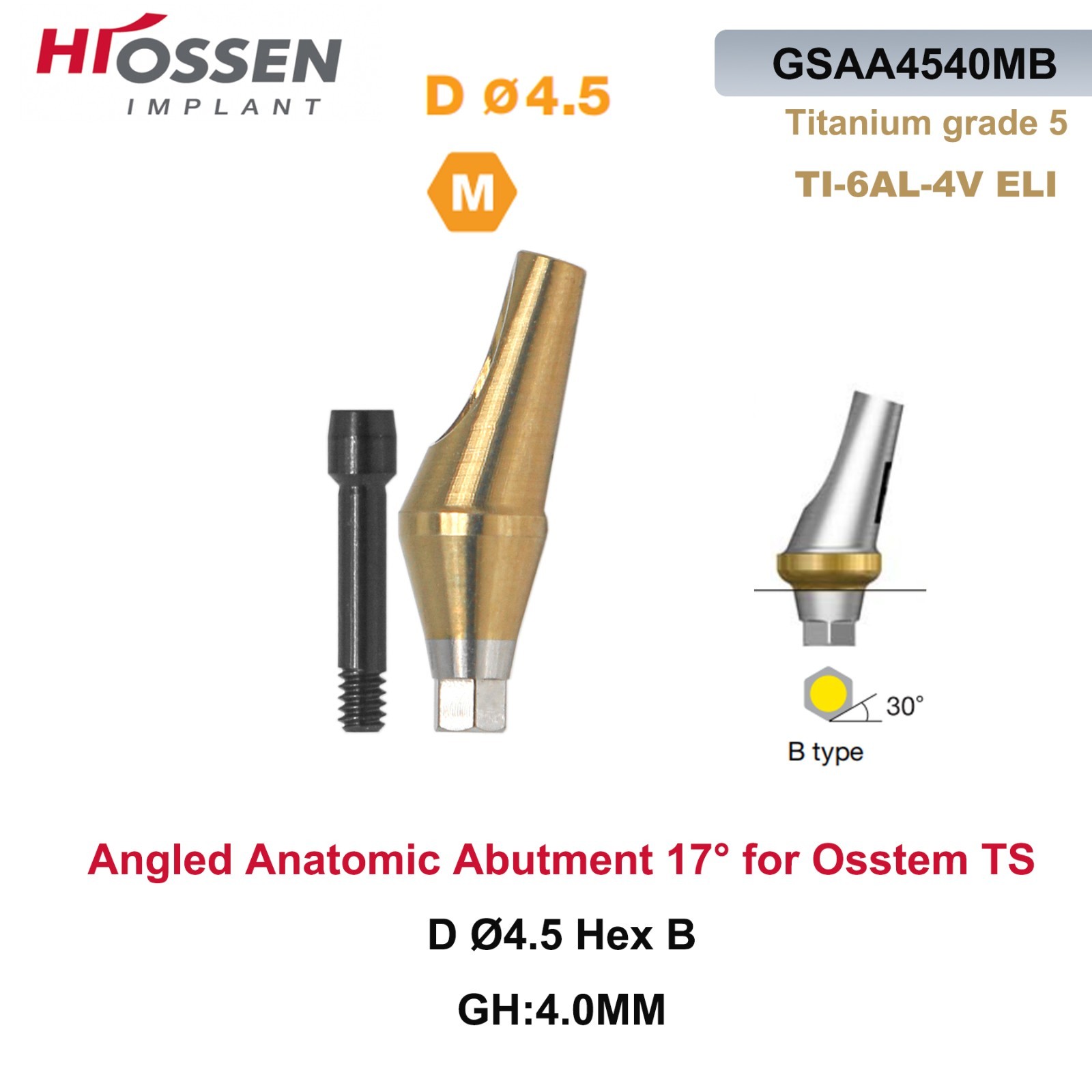 17° Angulated Angled Anatomic Abutment M/R Hex A/B Type Fit Hiossen Osstem TS