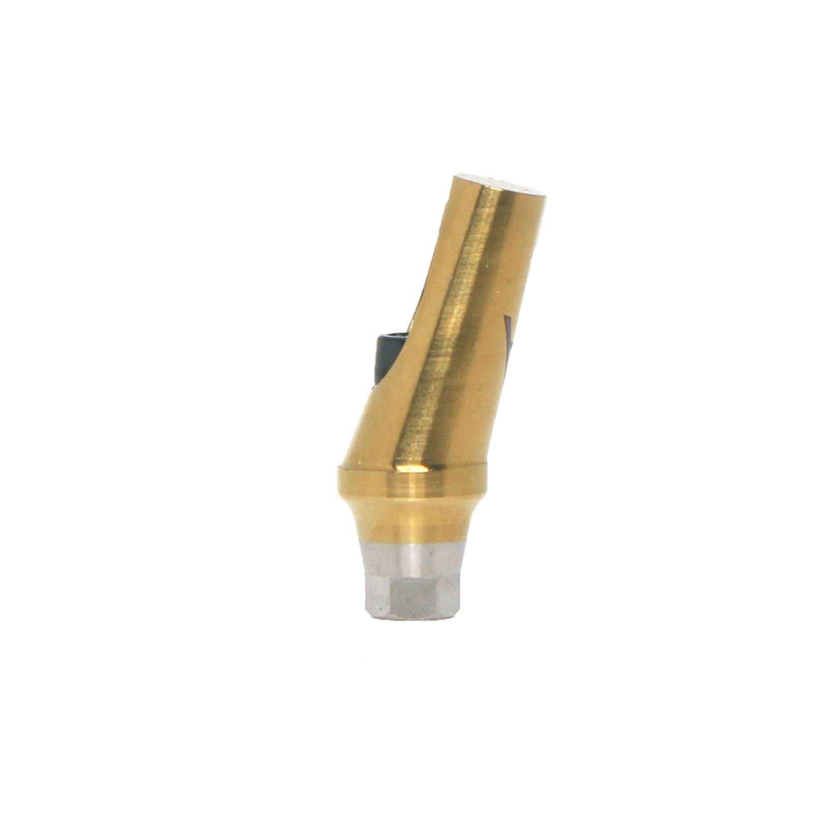 17° Angulated Angled Anatomic Abutment M/R Hex A/B Type Fit Hiossen Osstem TS