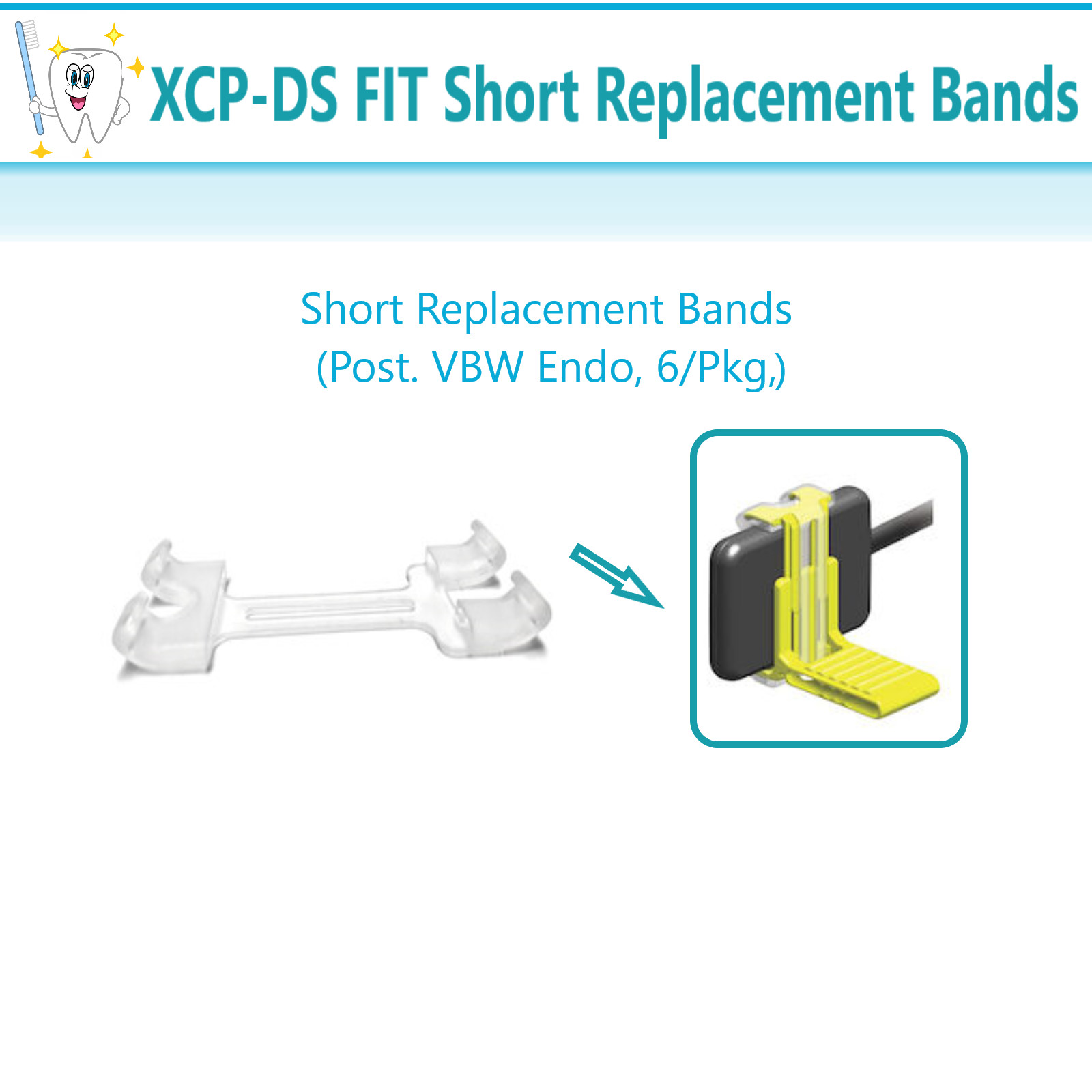Dental X-Ray XCP-DS Fit Bands Long Replacement Band (Ant. Ant. Thin B), 6/Pkg