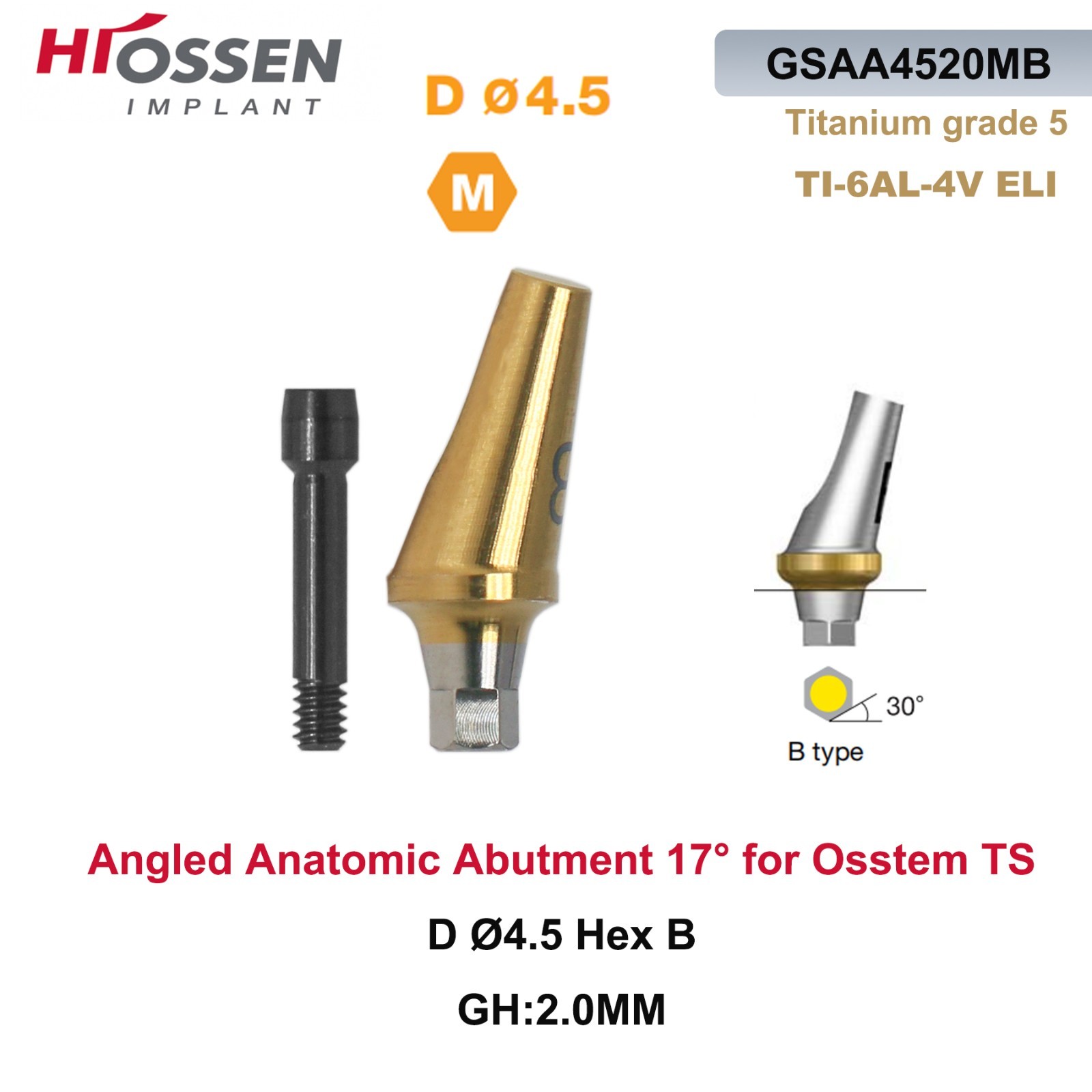 17° Angulated Angled Anatomic Abutment M/R Hex A/B Type Fit Hiossen Osstem TS