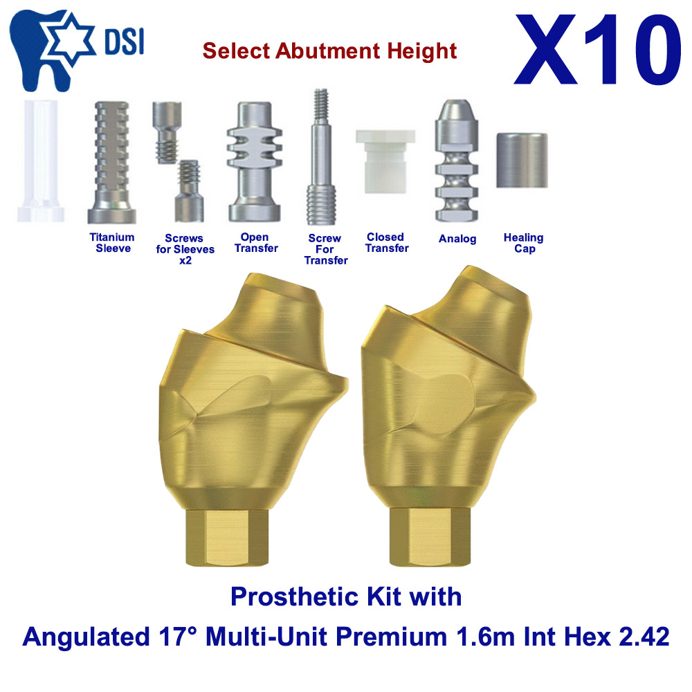 10x Prosthetic Kit DSI Angulated Abutment 17° Multi-Unit 1.6m Int Hex 2.42