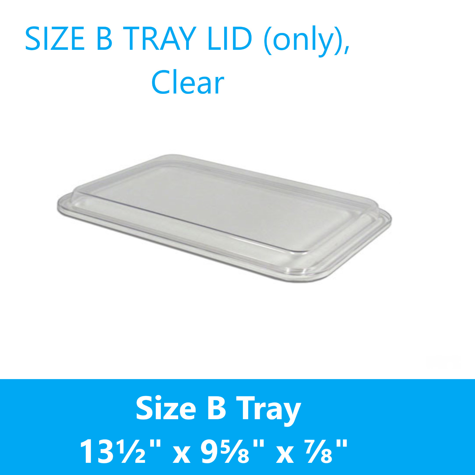 Dental Setup Flat B Tray, Lid Cover, or Divided B Ritter Tray, B-Lok Tray – BLUE
