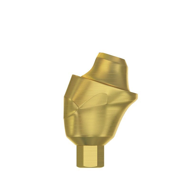 CAD/CAM Set Angulated 30° Multi Unit Abutment Int Hex 2.0 PEEK Scan Body Ti Base