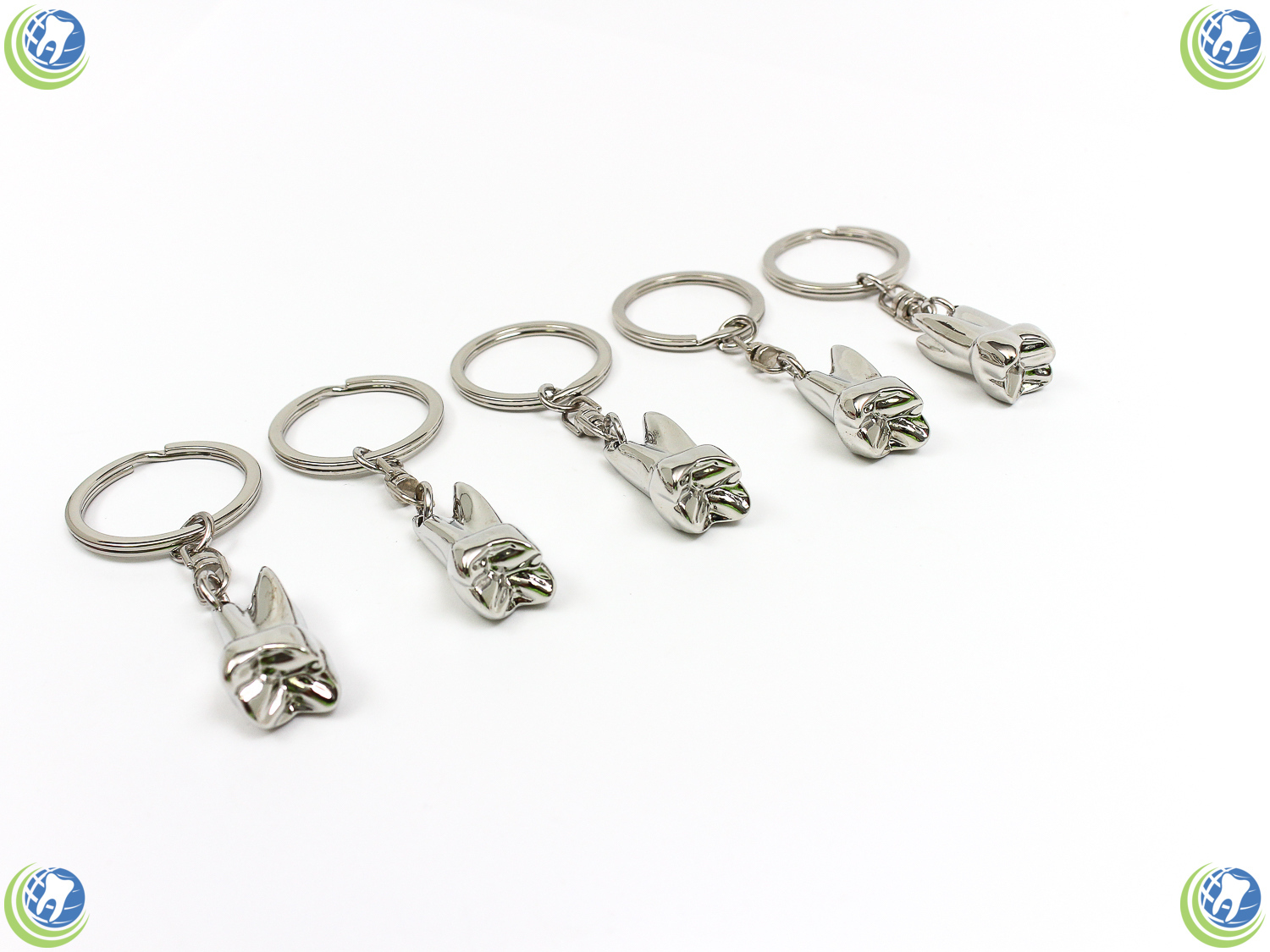 5X Molar Shaped Tooth Keychain Dental Student Dentist Hygienist Silver Plated
