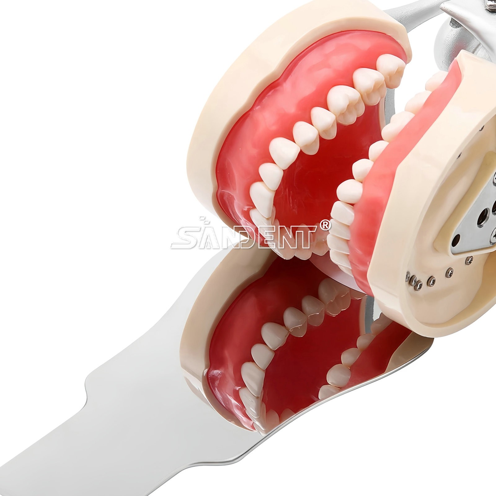 Dental Orthodontic LED Automatic Anti-fog Mirrors for Oral Photography Reflector