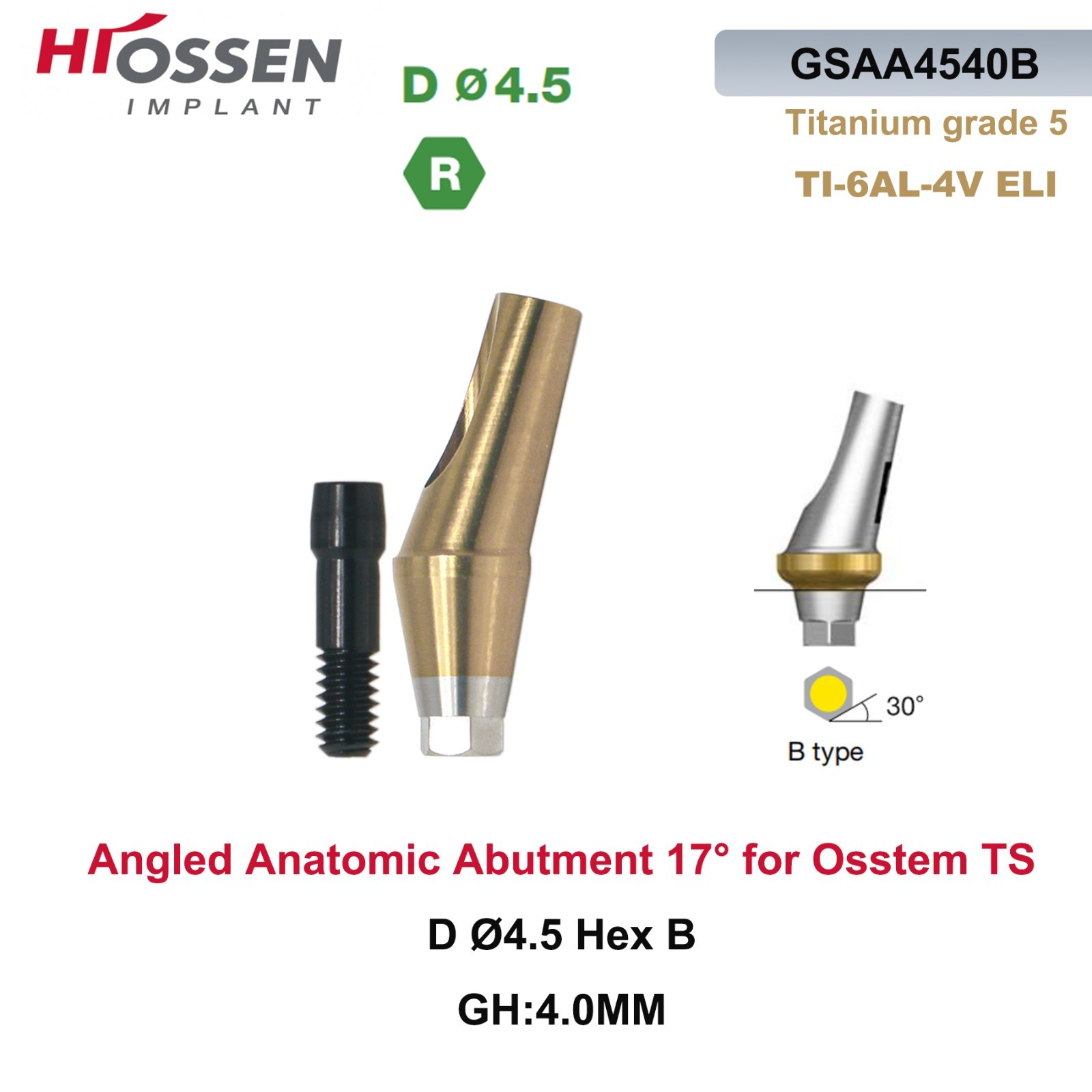 17° Angulated Angled Anatomic Abutment M/R Hex A/B Type Fit Hiossen Osstem TS