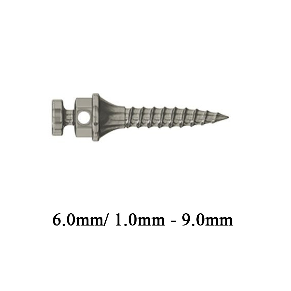 10pcs Dental Orthodontic TAD Mini Screw Surg ical Impl ant Titanium