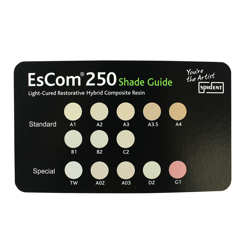 Dental Spident EsCom250 Restorative Light Cure Nanohybrid Composite Resin System