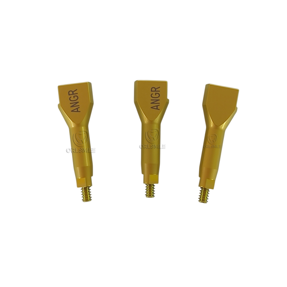 4/6/10/20 pcs Dental Scan Body CAD/CAM compatible with Anthogyr Regular