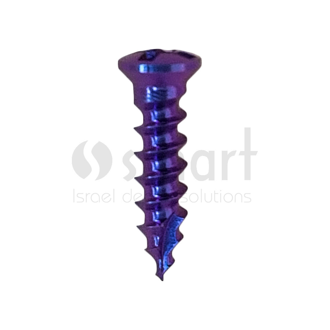 Lot x 5 Screw titanium pin membrane Fixation Bone GBR Ø1.6 L6 tac