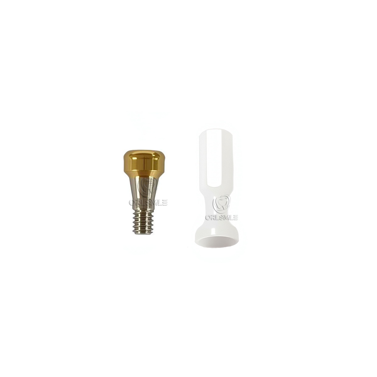 Locator abutment only abutment fit to Osstem TS platform GH1-6 Mini Regular
