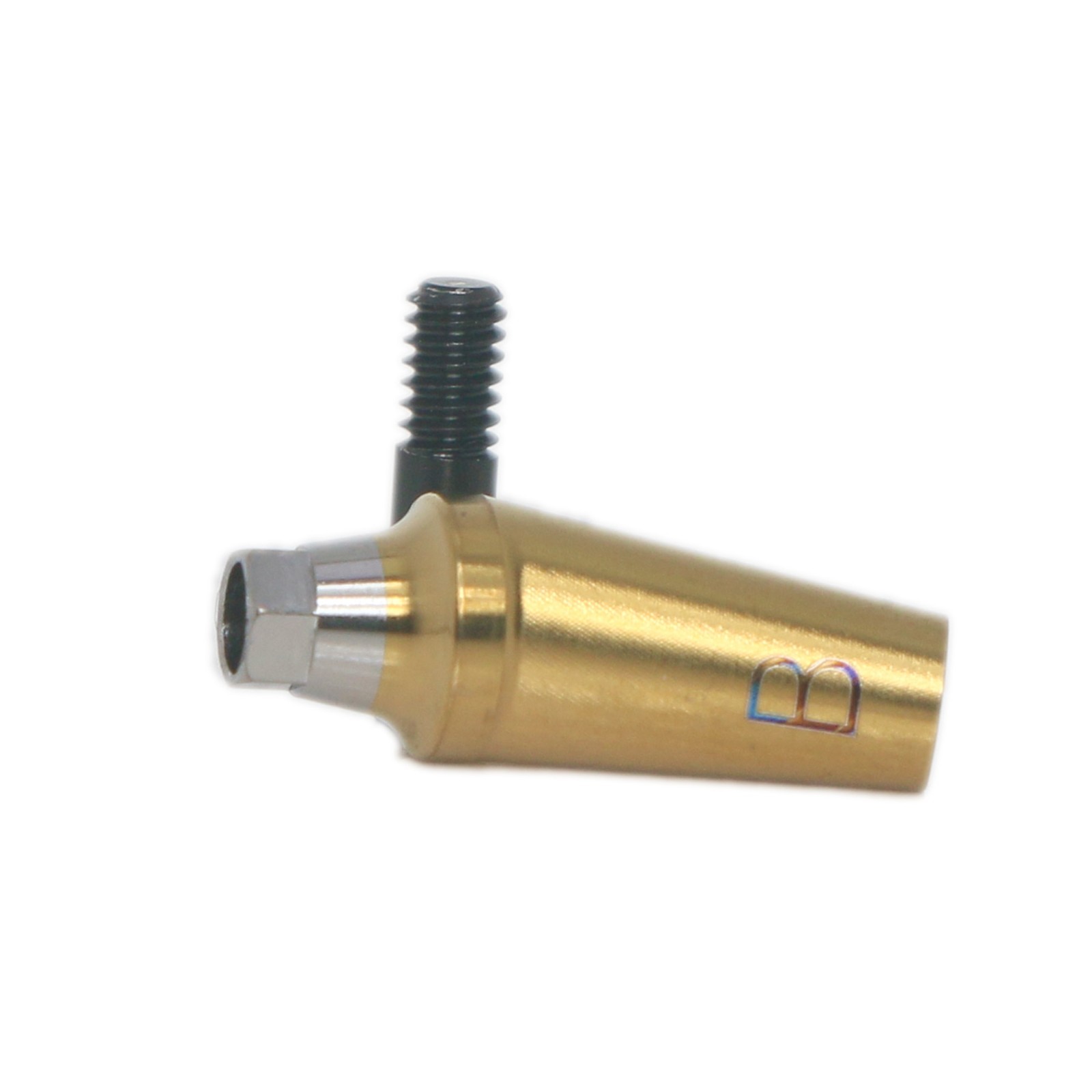 17° Angled Anatomic Abutment Regular Ø5.0mm For Hiossen Osstem Platform Implant