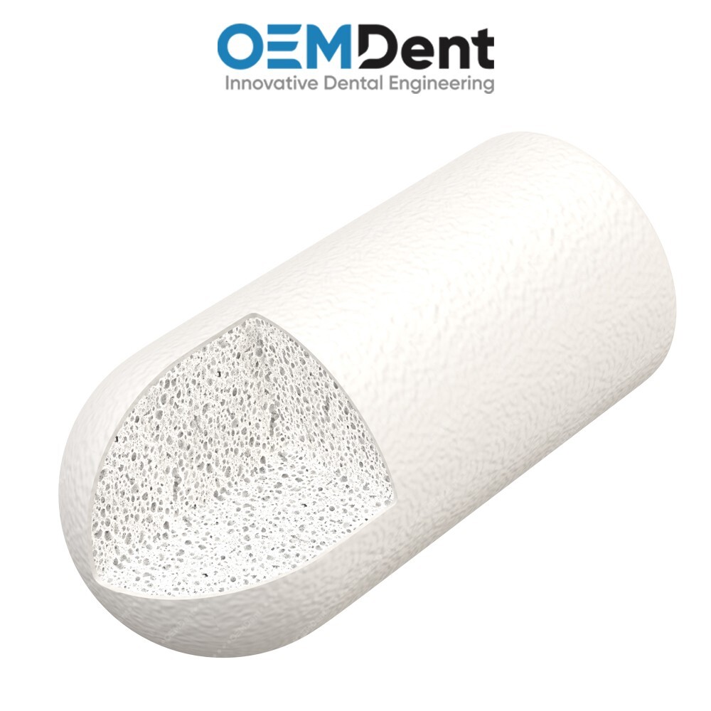x1 GDT Dental Sponge Grafting Plug Collagen Sterile Missing B0ne Filling
